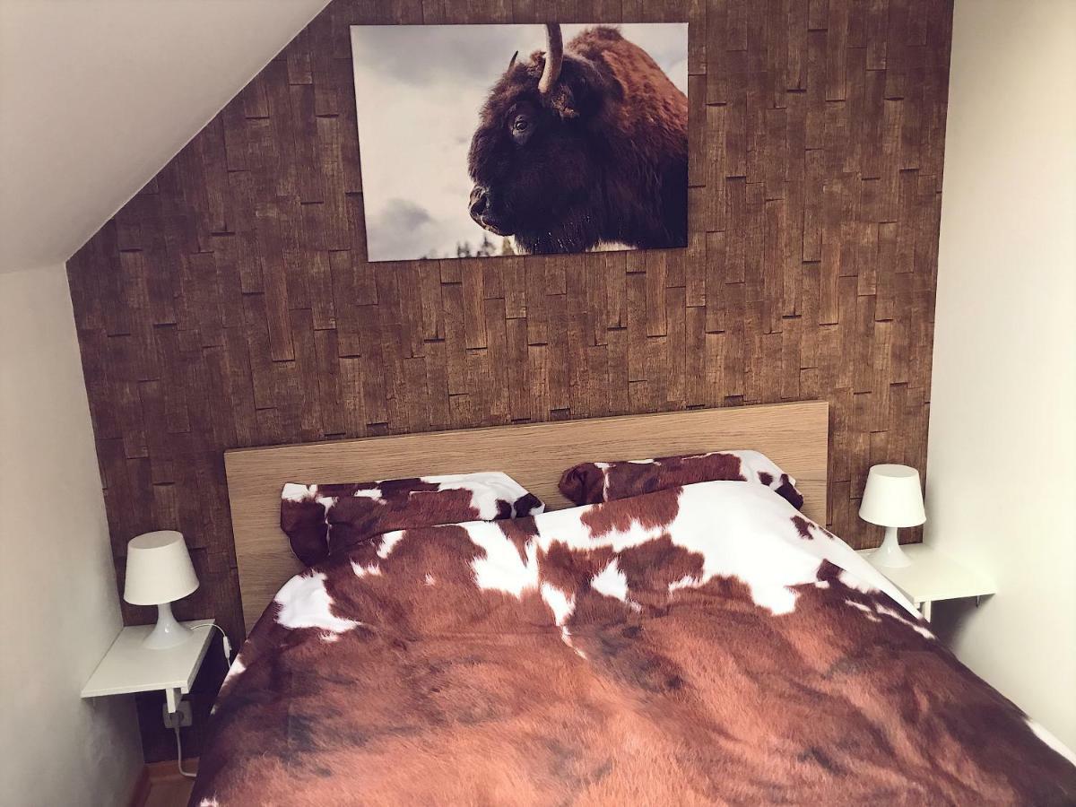 Villa Dakota - Jacuzzi, Zwembad, Playstation Durbuy Kültér fotó