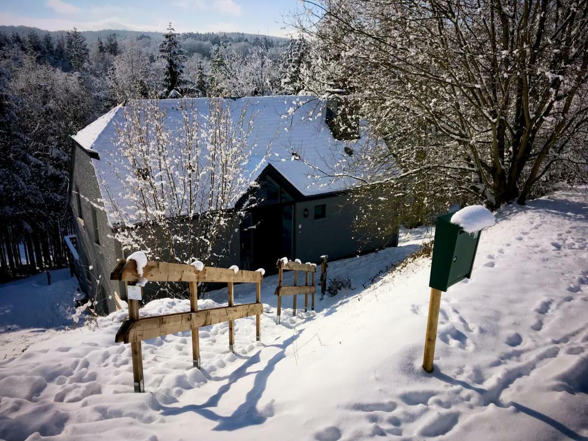 Villa Dakota - Jacuzzi, Zwembad, Playstation Durbuy Kültér fotó